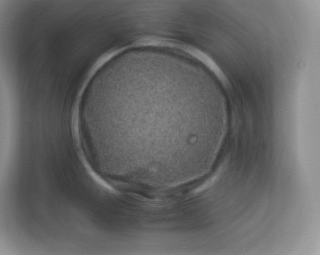 X0000113311247200909281118