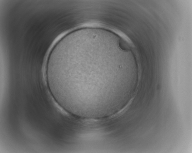 X0000113311248200909281118