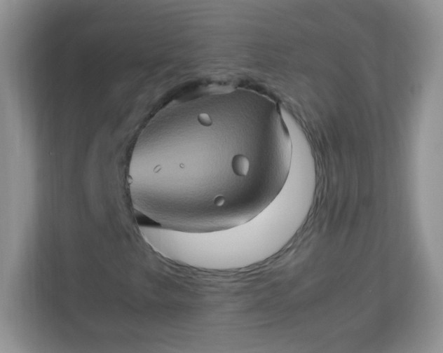 X0000113311249200909281117