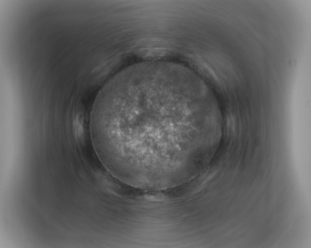 X0000113311250200909281117