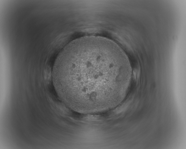 X0000113311251200909281117