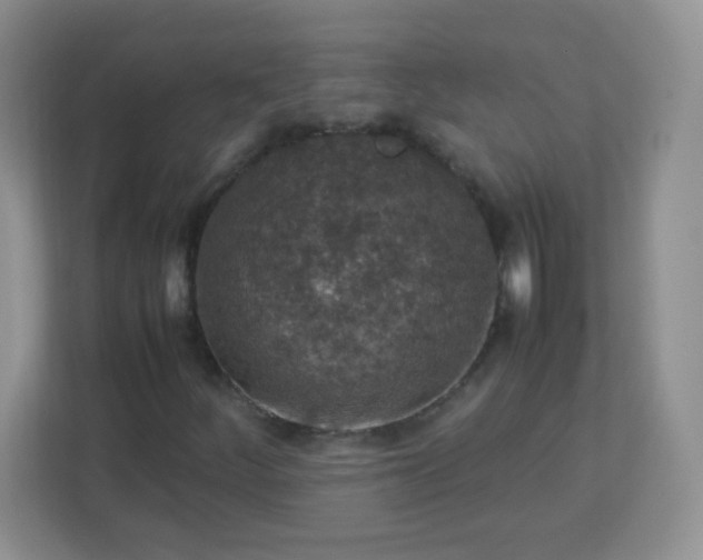 X0000113311252200909281117