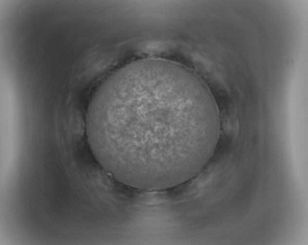 X0000113311253200909281117