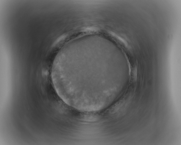 X0000113311254200909281117