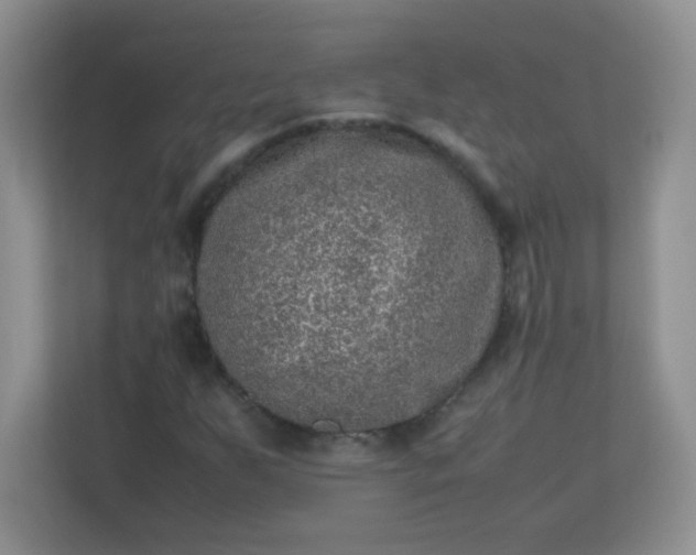 X0000113311255200909281117