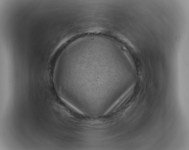 X0000113311256200909281117