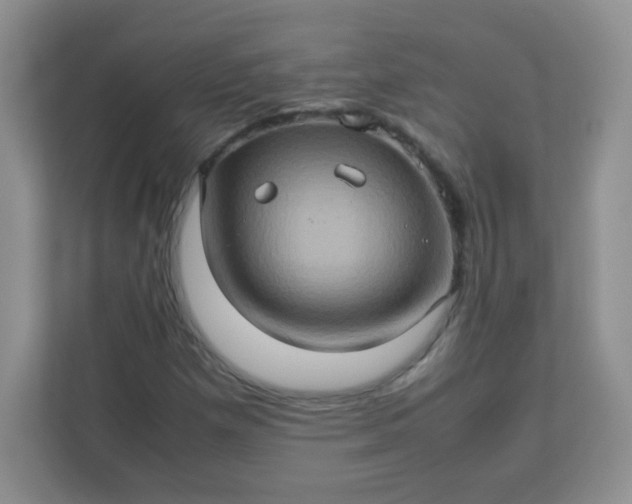 X0000113311257200909281117