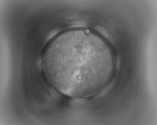 X0000113311258200909281117