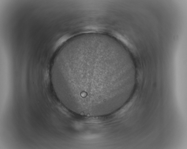 X0000113311259200909281117