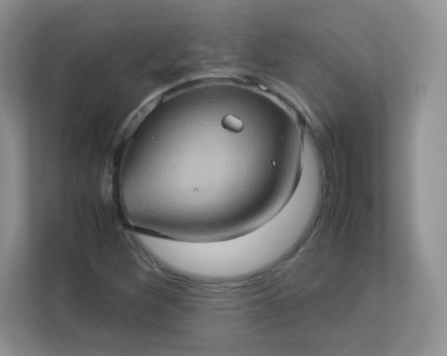 X0000113311260200909281117