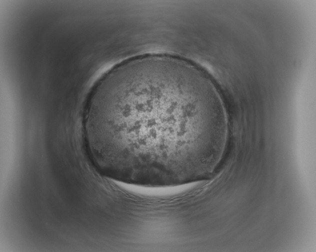 X0000113311263200909281117