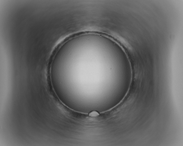 X0000113311264200909281117