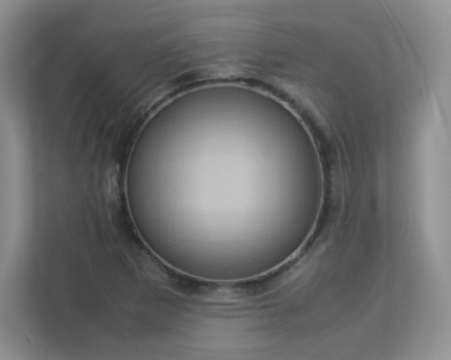 X0000113311265200909281117