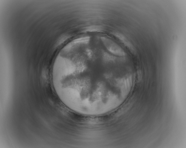 X0000113311266200909281117