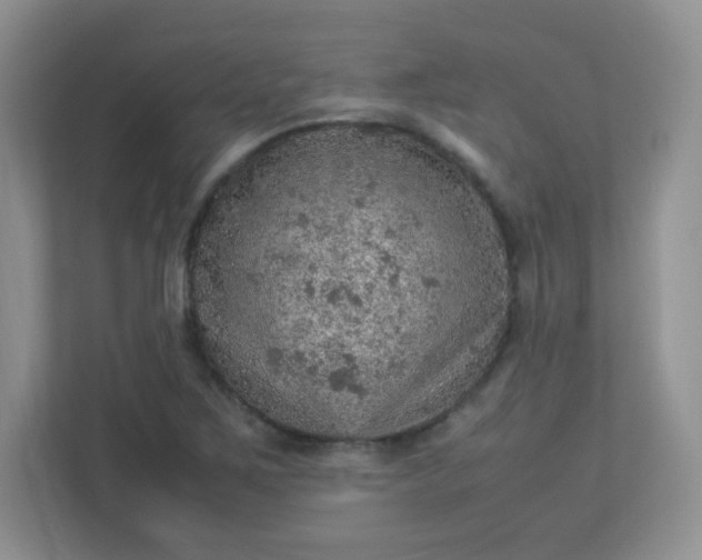 X0000113311267200909281117