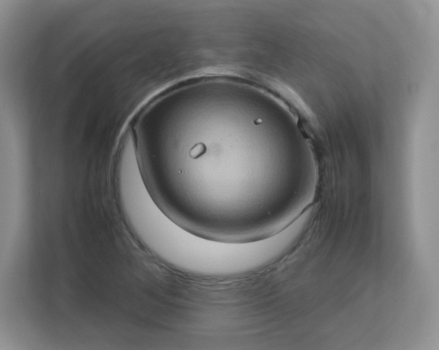 X0000113311268200909281117