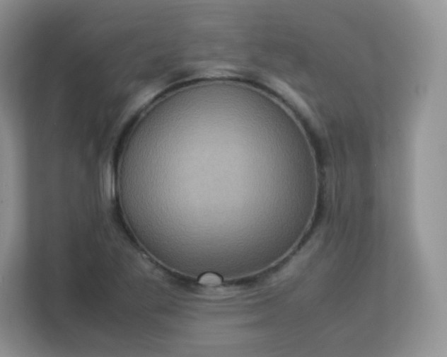 X0000113311269200909281117