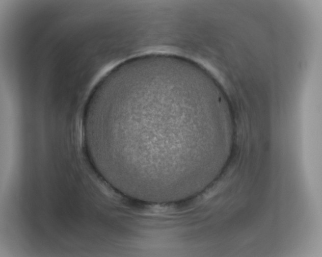 X0000113311271200909281117