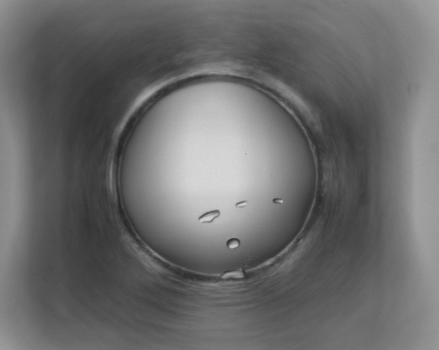 X0000113311272200909281117