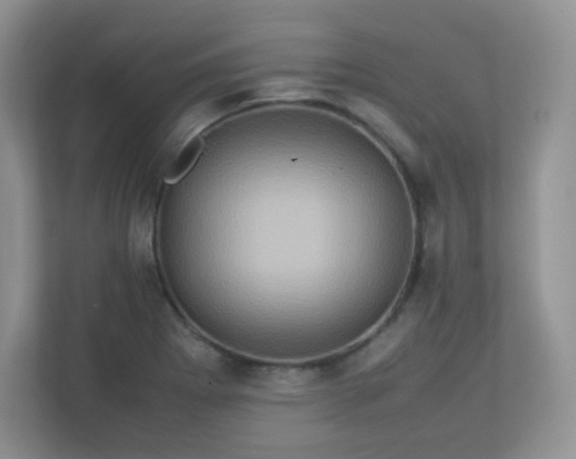 X0000113311273200909281117