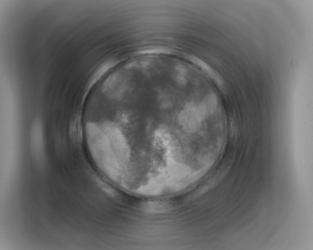 X0000113311274200909281117