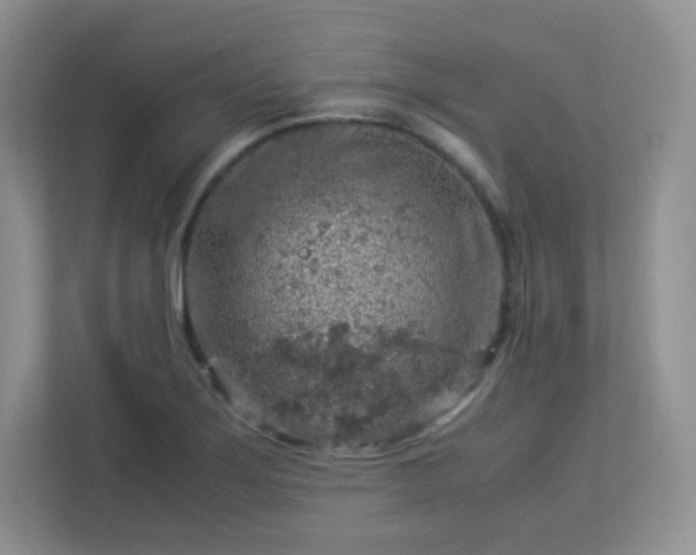 X0000113311275200909281117