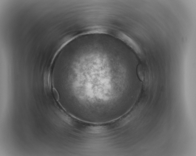 X0000113311276200909281117