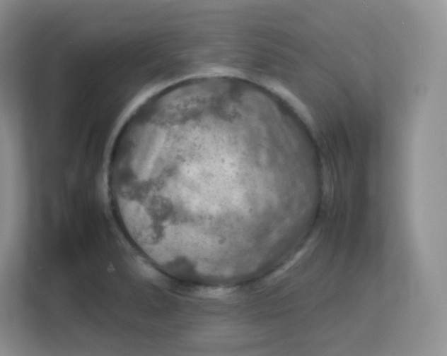 X0000113311278200909281117