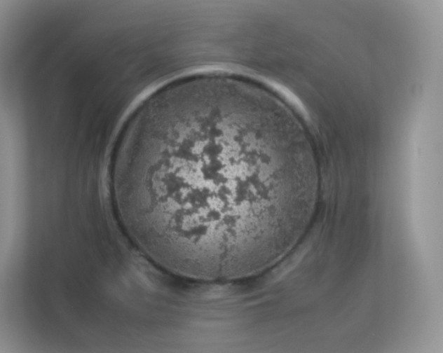 X0000113311279200909281117