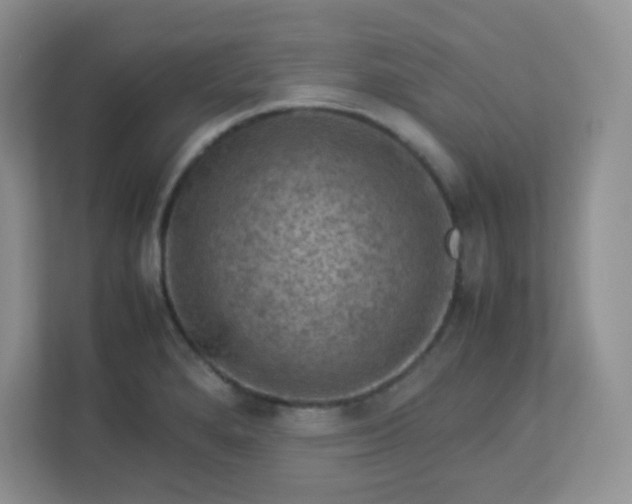 X0000113311280200909281117