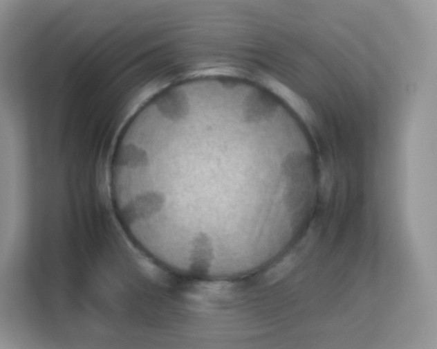 X0000113311282200909281117