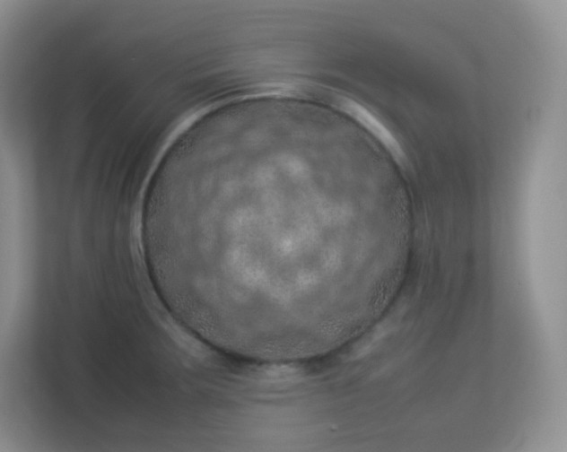 X0000113311283200909281117