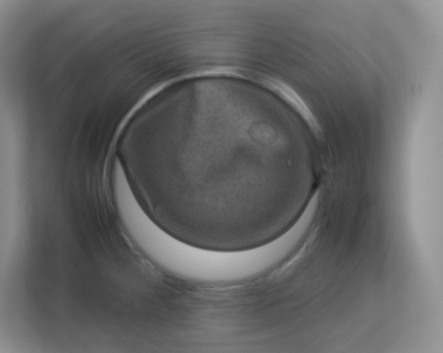 X0000113311284200909281117