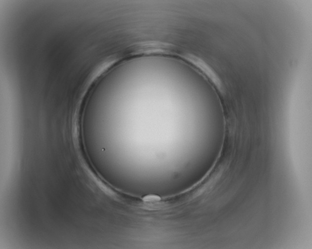 X0000113311285200909281117