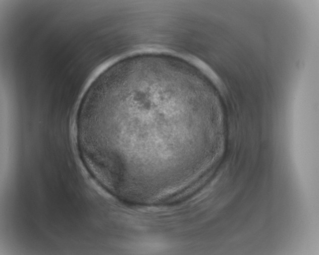 X0000113311287200909281117