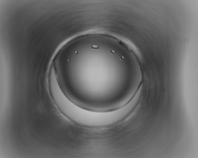 X0000113311288200909281117