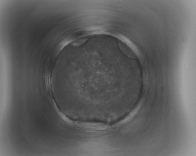 X0000113311289200909281117