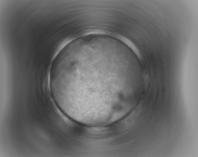 X0000113311290200909281117