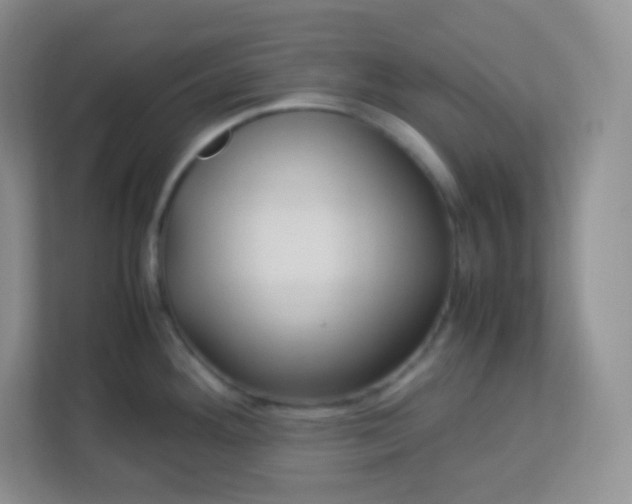 X0000113311292200909281117