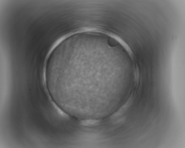 X0000113311294200909281117