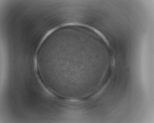 X0000113311295200909281117