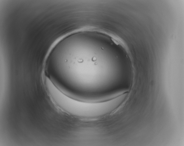 X0000113311296200909281117