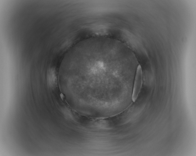 X0000113311298200909281116