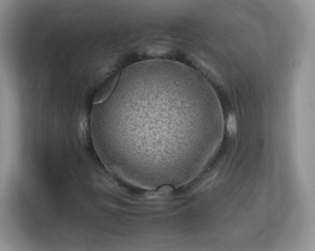 X0000113311299200909281116