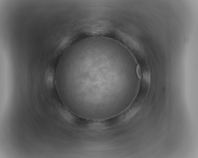 X0000113311300200909281116