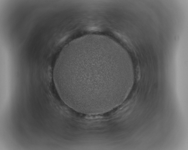 X0000113311301200909281116