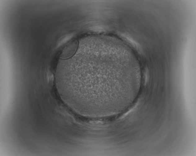 X0000113311302200909281116