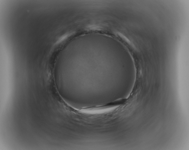 X0000113311303200909281116