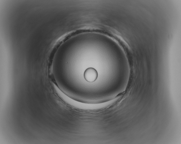 X0000113311304200909281116