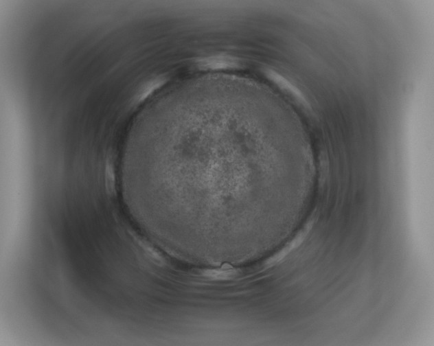 X0000113311305200909281116